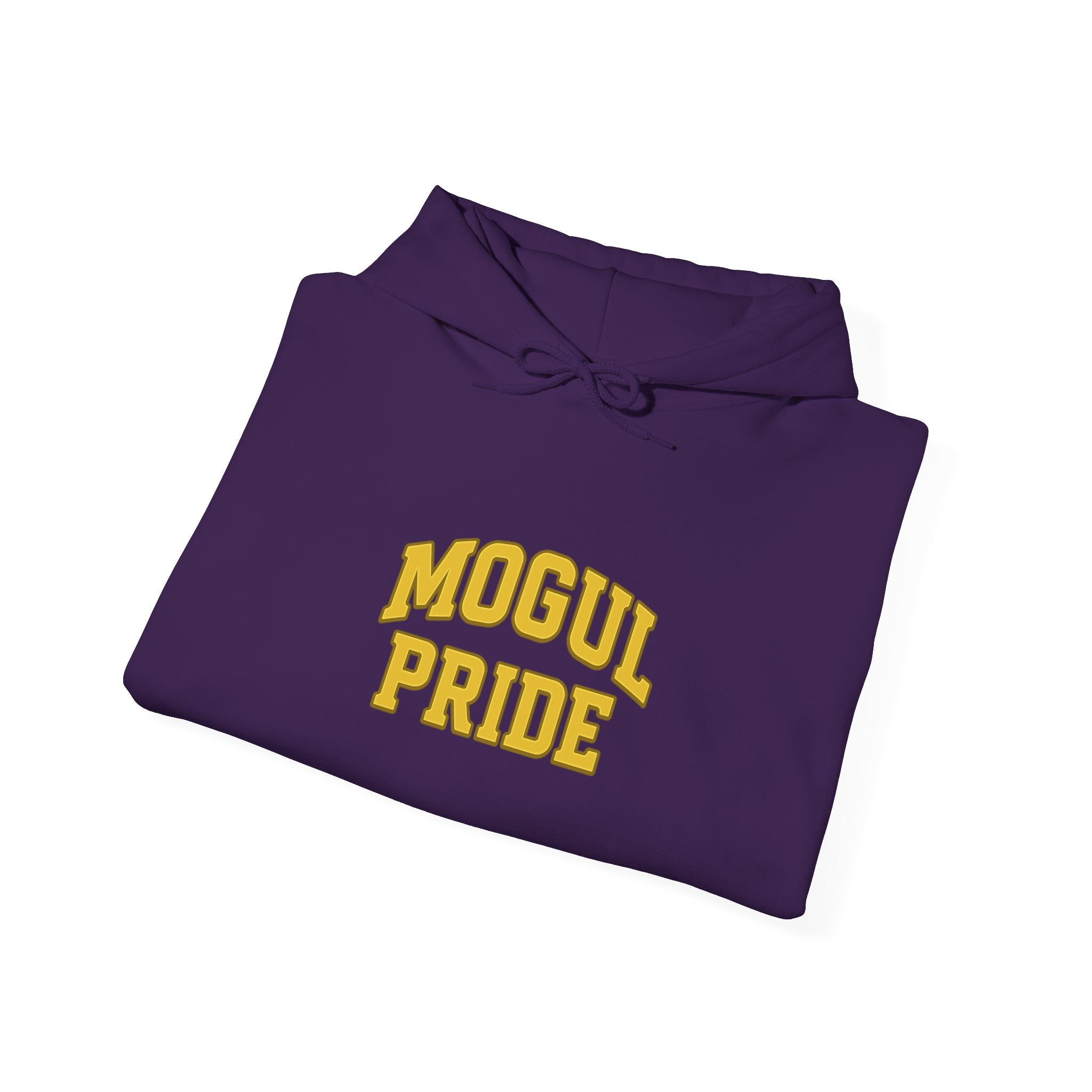 Mogul Pride Hoodie — Vintage Collegiate Entrepreneur Sweatshirt